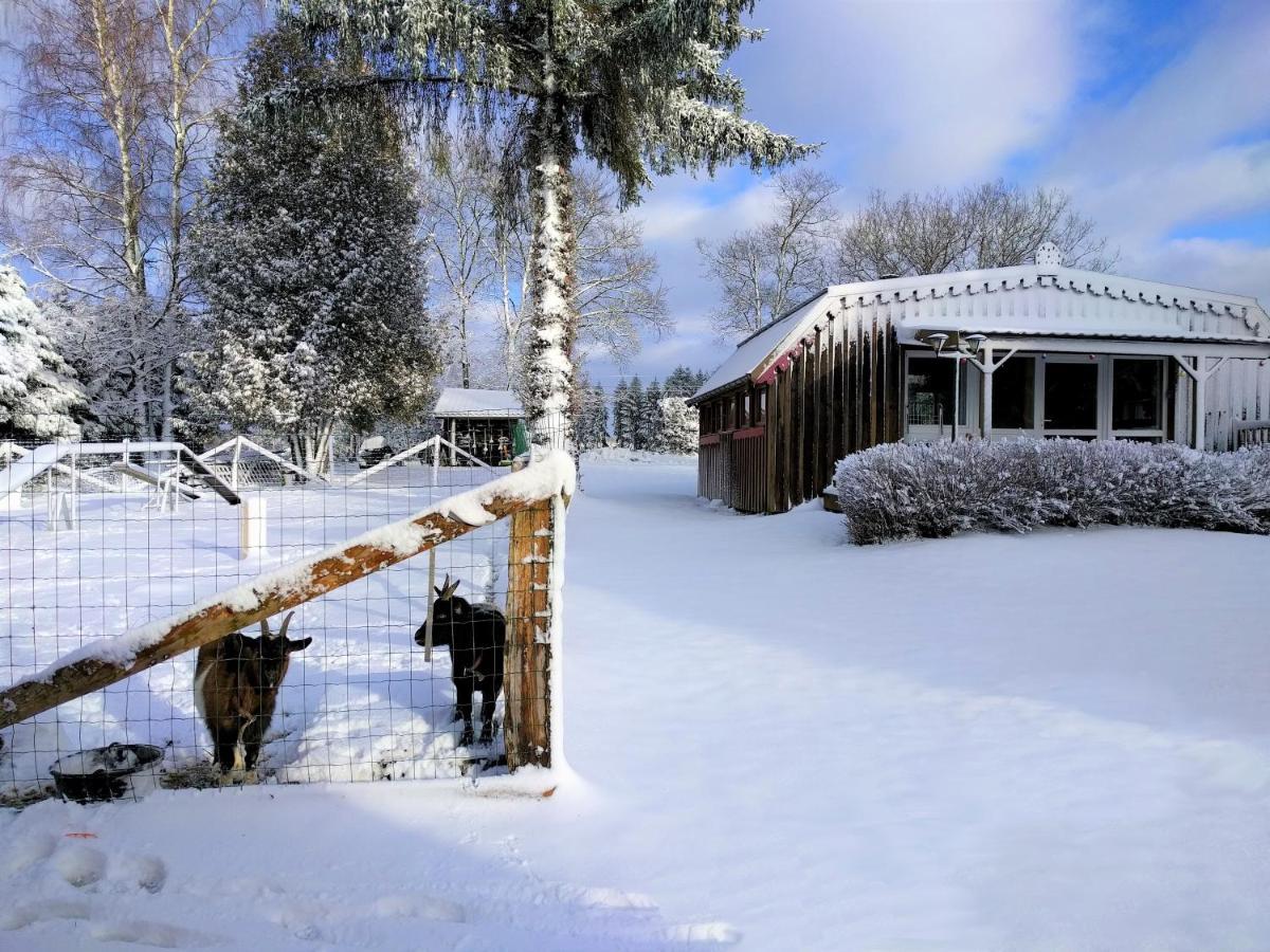 Chalets Des Trois Hetres Plombières-les-Bains Exteriér fotografie