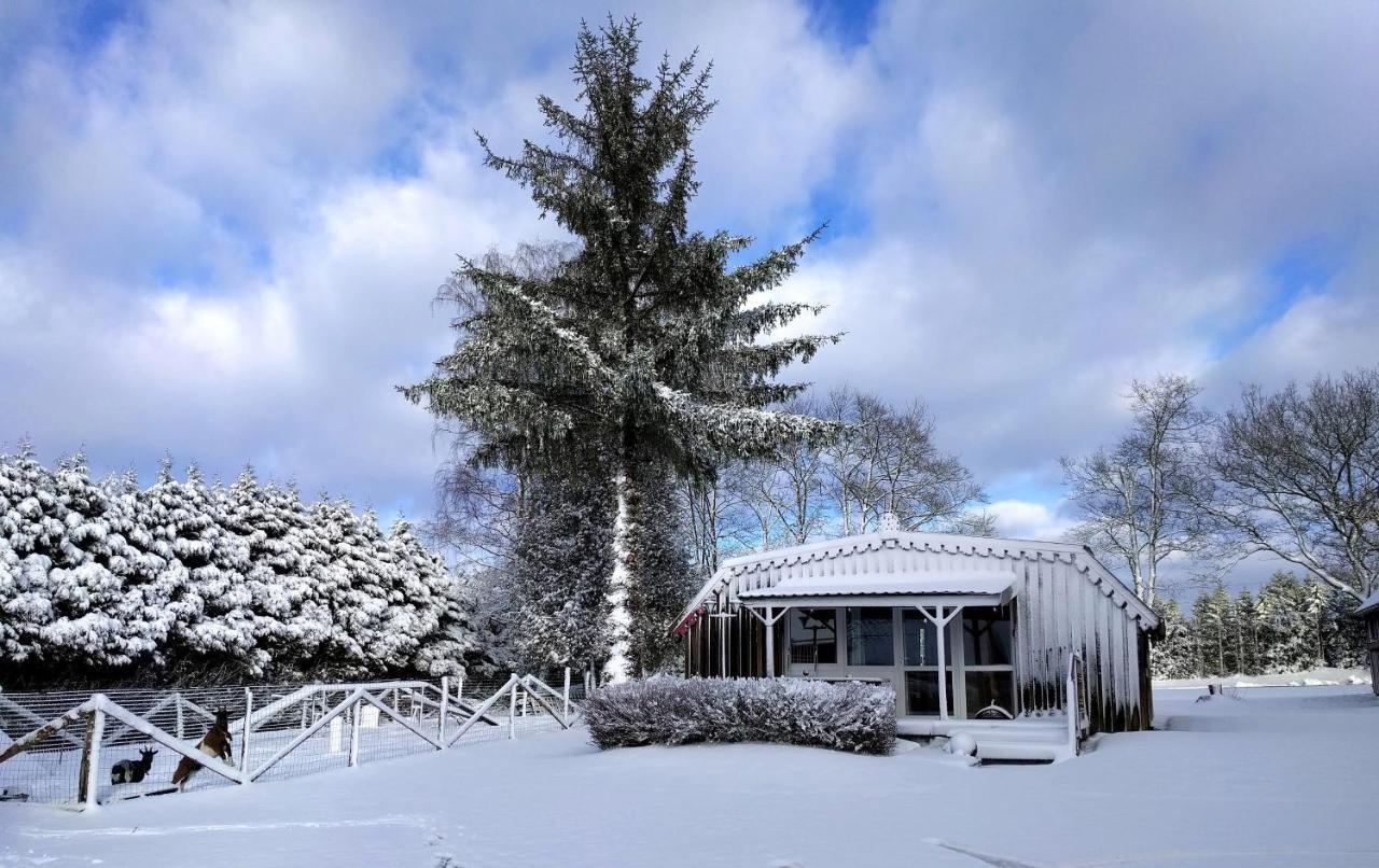 Chalets Des Trois Hetres Plombières-les-Bains Exteriér fotografie
